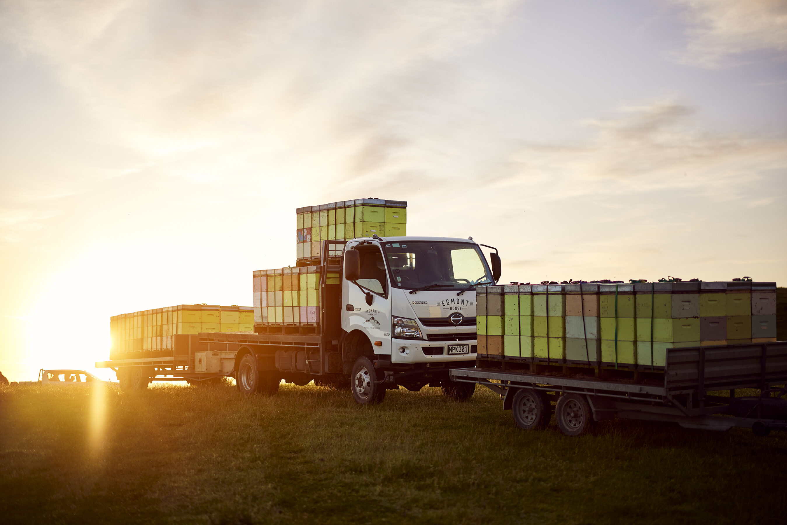 Egmont Honey